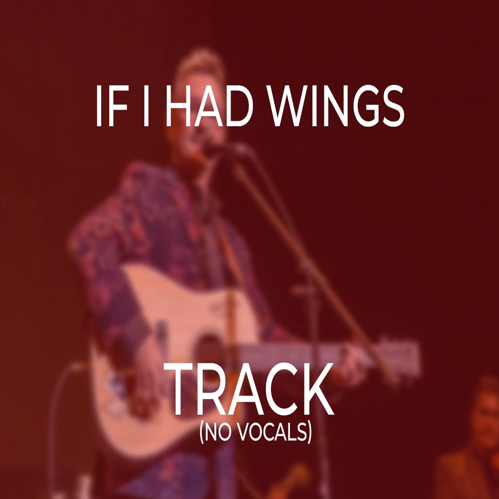 If I Had Wings - TRACK